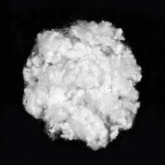 15D*64MM HC Polyester Stapel Fiber